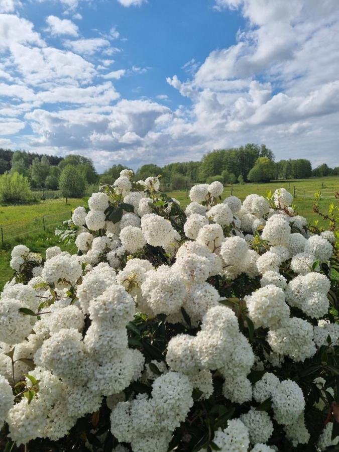 Woodhouse Spreewiesen Burig Exteriér fotografie